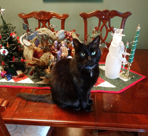 Tis The Season To Be&nbsp;Hopeful