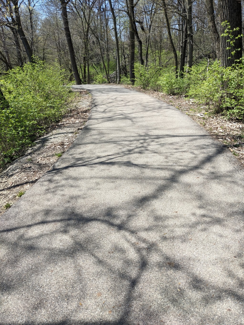 Effects of Seasonal Depression and The Renewal of&nbsp;Spring